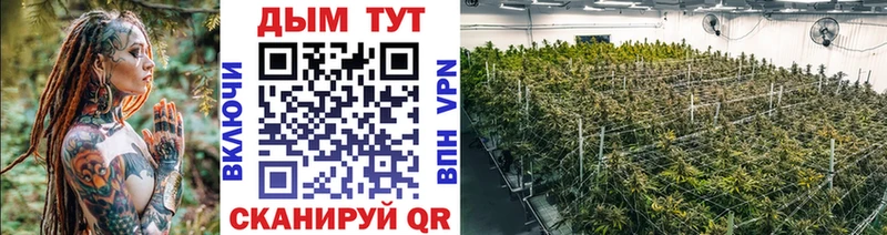 Где купить Южно-Сухокумск Псилоцибиновые грибы КОКАИН Меф Бошки Шишки Амфетамин