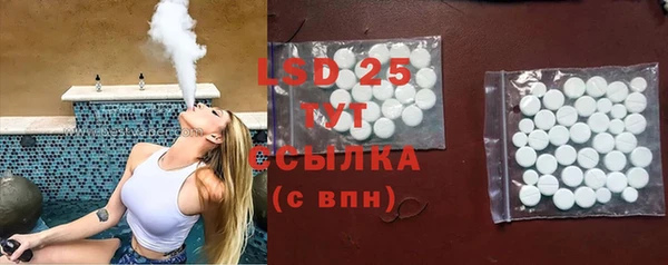 хмурый Магас