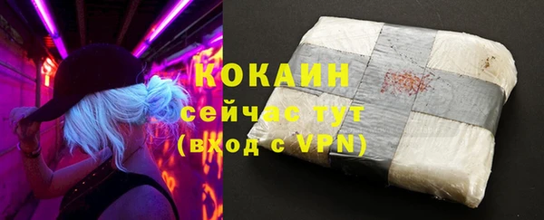 хмурый Магас