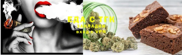 хмурый Магас