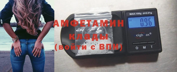 хмурый Магас