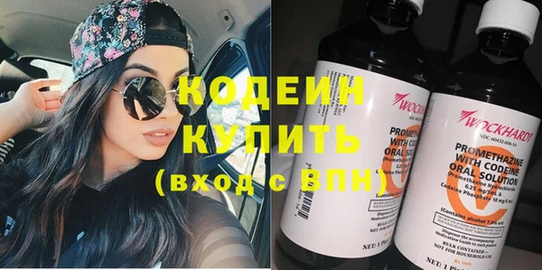 хмурый Магас