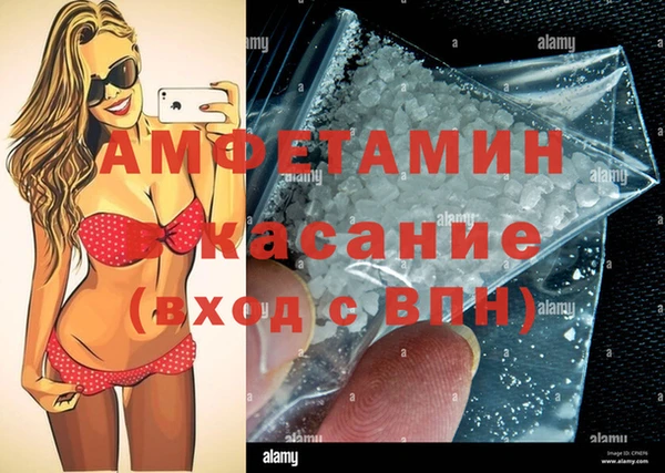 хмурый Магас
