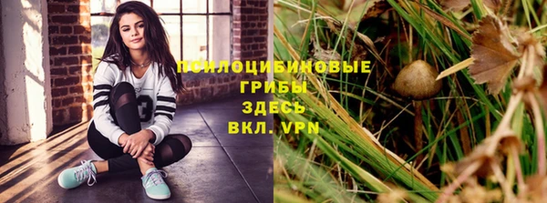 кокс Майский