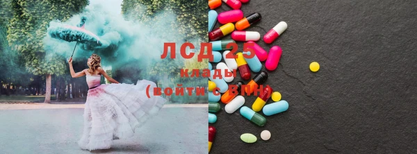 хмурый Магас