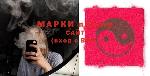 хмурый Магас