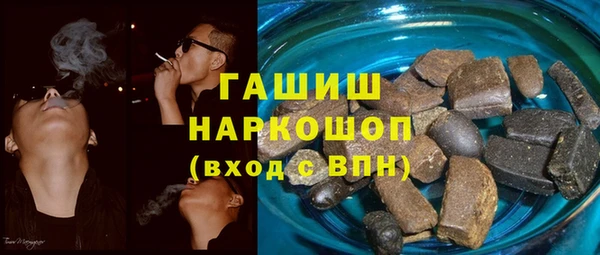 хмурый Магас