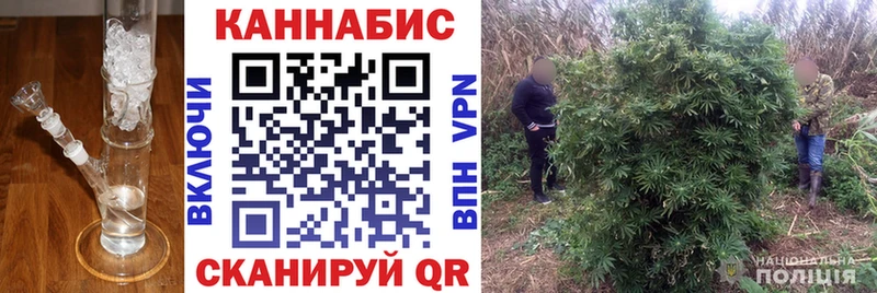 Бошки марихуана Ganja Южно-Сухокумск