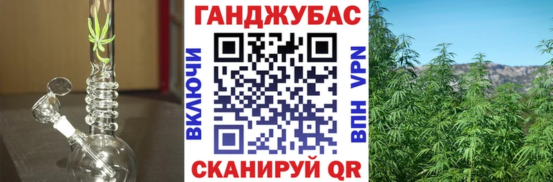 OMG ONION  Южно-Сухокумск  Каннабис индика 